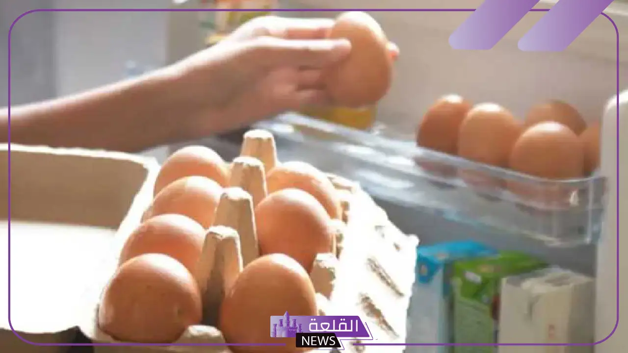 بعد تراجع أسعار البيض.. المواد الغذائية تنصح المواطنين بعدم التخزين