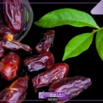 تفسير حلم اكل التمر للعزباء والمتزوجة في المنام لابن سيرين