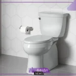 تفسير حلم التبرز في الملابس الداخلية للمرأة والرجل للنابلسي وابن سيرين