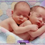تفسير حلم التوأم في المنام للمرأة العزباء لابن سيرين والنابلسي