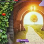 تفسير حلم الجنة في المنام للرجل والمرأة ودخولها لابن سيرين