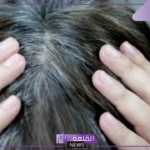 تفسير حلم الشيب في المنام للعزباء والمتزوجة لابن سيرين