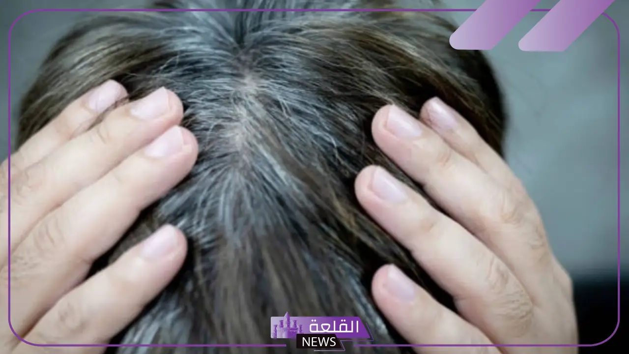 تفسير حلم الشيب في المنام للعزباء والمتزوجة لابن سيرين