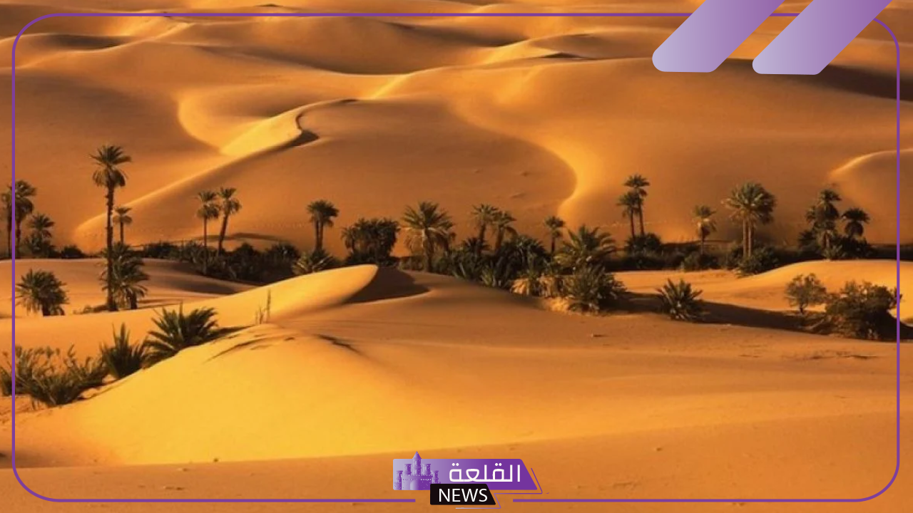 تفسير حلم الصحراء في المنام للعزباء والمتزوجة لابن سيرين 5 رؤية شخص في الصحراء في المنام