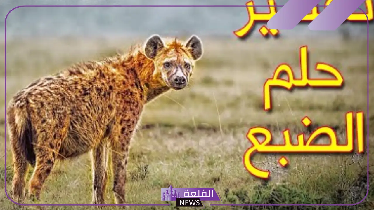تفسير حلم الضبع في المنام للمتزوجة والرجل لابن سيرين