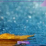 تفسير حلم برد المطر في المنام للعزباء والمتزوجة لابن سيرين