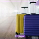 تفسير حلم شخص يفتش شنطتي في المنام لابن سيرين