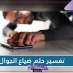 تفسير حلم ضياع الجوال للعزباء في المنام لكبار العلماء وضياعه