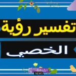 تفسير رؤية الخصيتين للمرأة الحامل والمتزوجة والعزباء