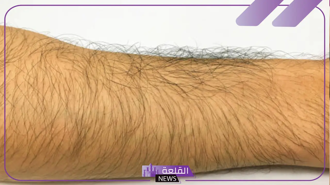تفسير رؤية شعر اليد في المنام للمرأة المتزوجة والعزباء ورمزه 5 ماذا يعني نمو شعر اليد بكثافة في الحلم؟