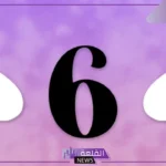 معنى الرقم 6 في المنام لابن سيرين وابن شاهين والنابلسي