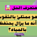كله ثقوب ومع ذلك يحفظ الماء فما هو؟