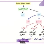 مثال على جملة مثبتة وجملة منفية.. كيفية تحويل الجملة المثبتة إلى منفية