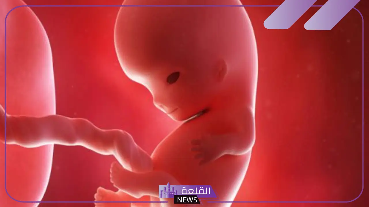 حلمت شي يتحرك في بطني مثل الجنين في الحلم ما التفسير؟ 5 تفسير حلم حركة الجنين في البطن للعزباء