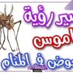 تفسير حلم البعوض في المنام للعزباء والمتزوجة لابن سيرين والنابلسي