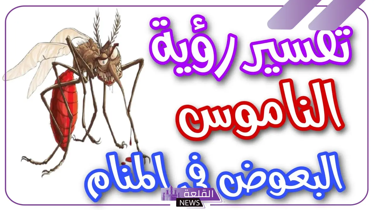 تفسير حلم البعوض في المنام للعزباء والمتزوجة لابن سيرين والنابلسي