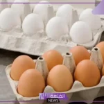 تفسير حلم طبخ البيض في المنام للمتزوجة والعزباء لكبار العلماء