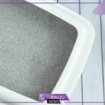 تفسير حلم بول القطط في المنام ورؤيته لابن سيرين