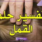 تفسير حلم القمل الابيض في المنام للعزباء والمطلقة لابن سيرين 