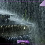 تفسير حلم المطر للمتزوجه والحامل والعزباء في المنام لابن شاهين وابن سيرين