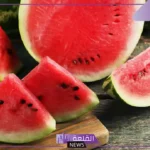 تفسير حلم رؤية البطيخ في المنام للعزباء والمطلقة والأرملة