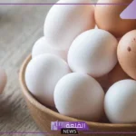 تفسير حلم رؤية البيض في المنام للعزباء والحامل لابن سيرين