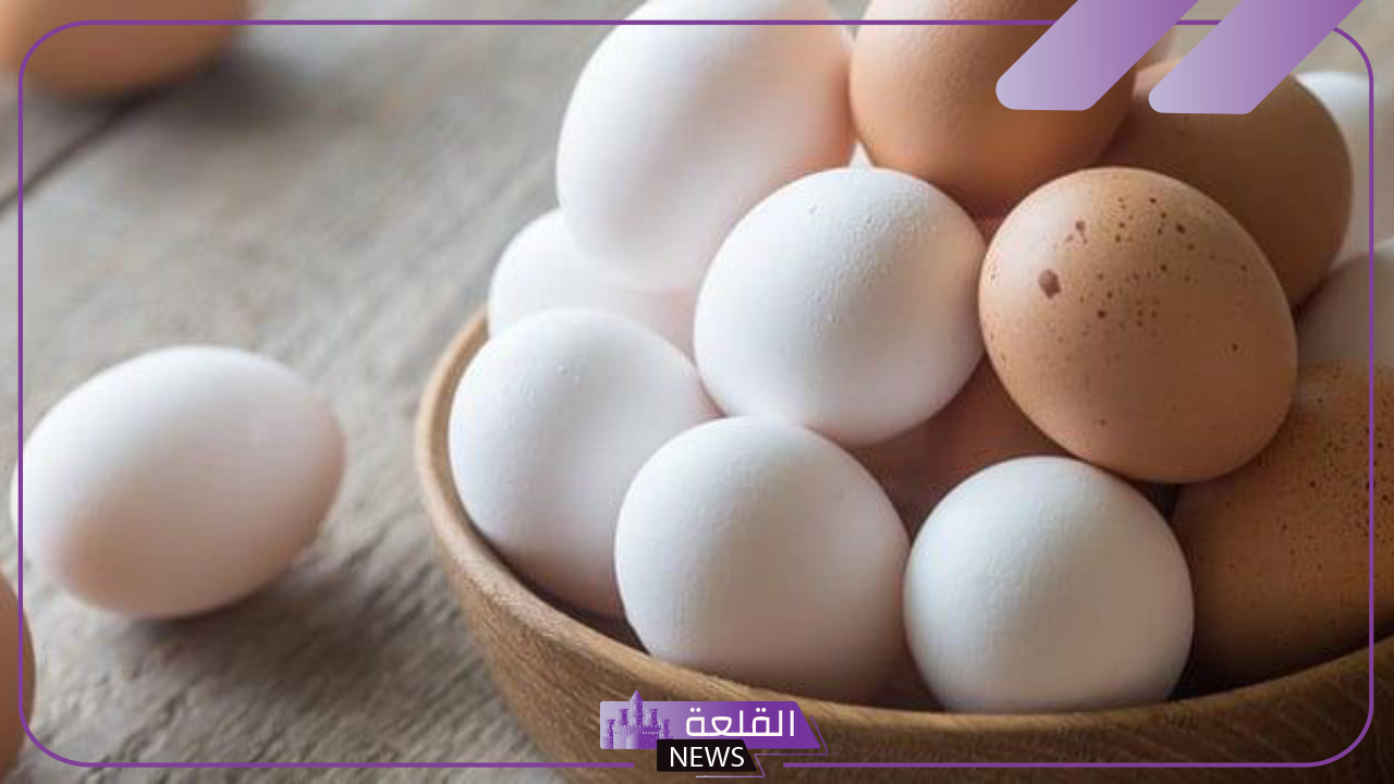 تفسير حلم رؤية البيض في المنام للعزباء والحامل لابن سيرين 11 تفسير حلم رؤية البيض في المنام للعزباء والحامل لابن سيرين