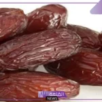 تفسير اكل التمر في المنام للرجل والمرأة لابن سيرين