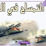 ما رمز التمساح في المنام لابن سيرين والخوف منه للرجل والمرأة