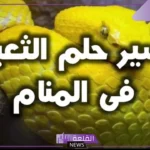 تفسير حلم الثعبان الاصفر للرجل والفتاة العزباء في المنام لابن سيرين