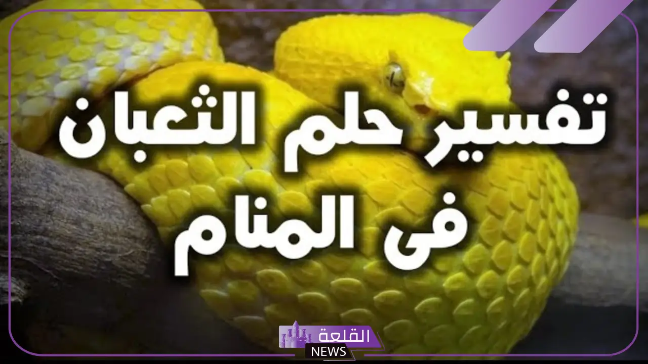 تفسير حلم الثعبان الاصفر للرجل والفتاة العزباء في المنام لابن سيرين