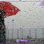 تفسير حلم رؤية الضباب في المنام للمتزوجة والعزباء والرجل لابن سيرين