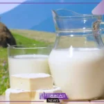 تفسير حلم رؤية حليب الناقة في المنام للمتزوجة لابن سيرين