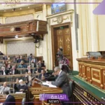 رئيس مجلس النواب المصري: رتب كلمتك بشأن الحساب الختامي