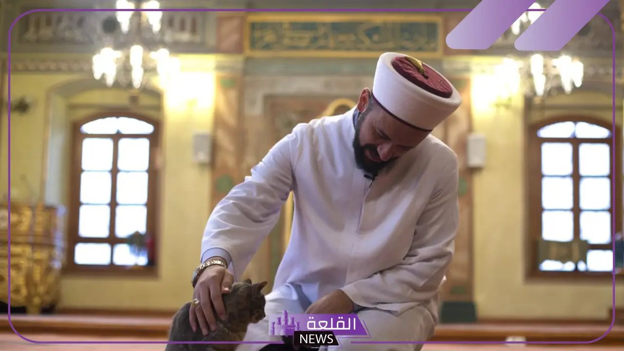 أفضل شيوخ في جدة لوجه الله 2025 مجانًا بدون مقابل
