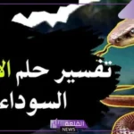 تفسير حلم الافعى السوداء في المنام ورمزها لكبار الفقهاء والمفسرين