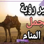 رمز الجمل في المنام لابن للفتاة العزباء سيرين والإمام الصادق