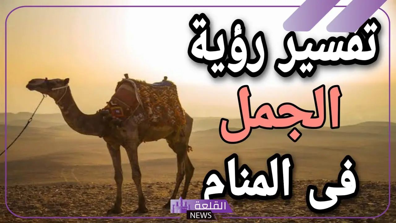 رمز الجمل في المنام لابن للفتاة العزباء سيرين والإمام الصادق