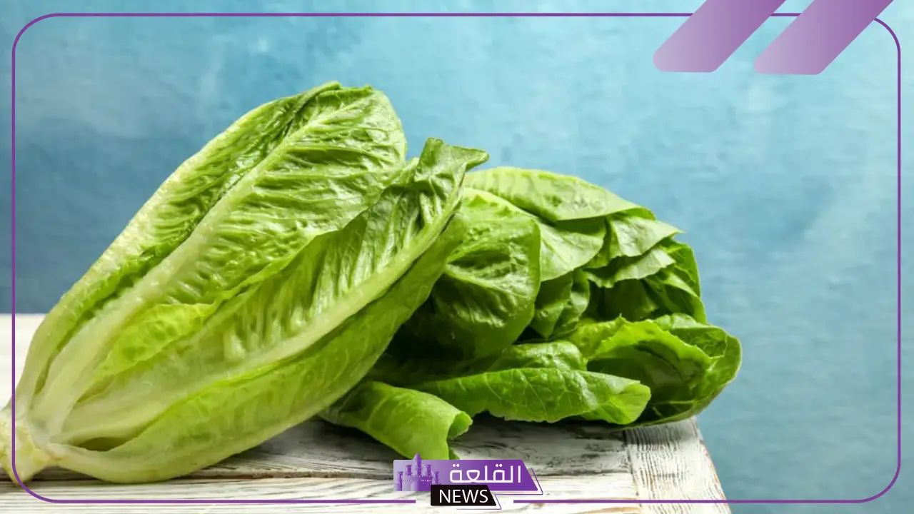 رمز الخس في المنام للمتزوجه والعزباء والحامل في المنام لابن سيرين