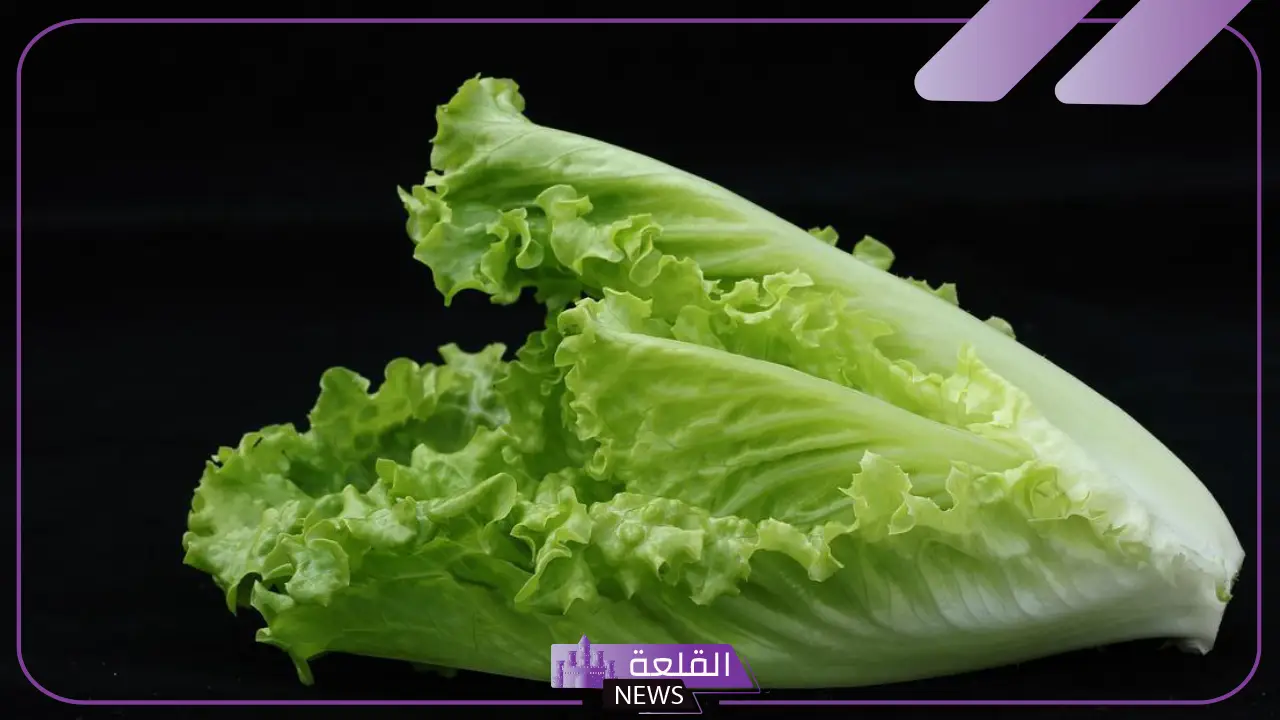 رمز الخس في المنام للمتزوجه والعزباء والحامل في المنام لابن سيرين 5 معنى رمز الخس في المنام للمتزوجه