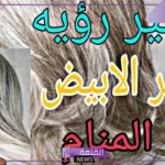 تفسير حلم رؤية الشيب في المنام للمتزوجة والفتاة العزباء لابن سيرين