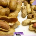تفسير حلم الفول السوداني في المنام للرجل لابن سيرين والنابلسي