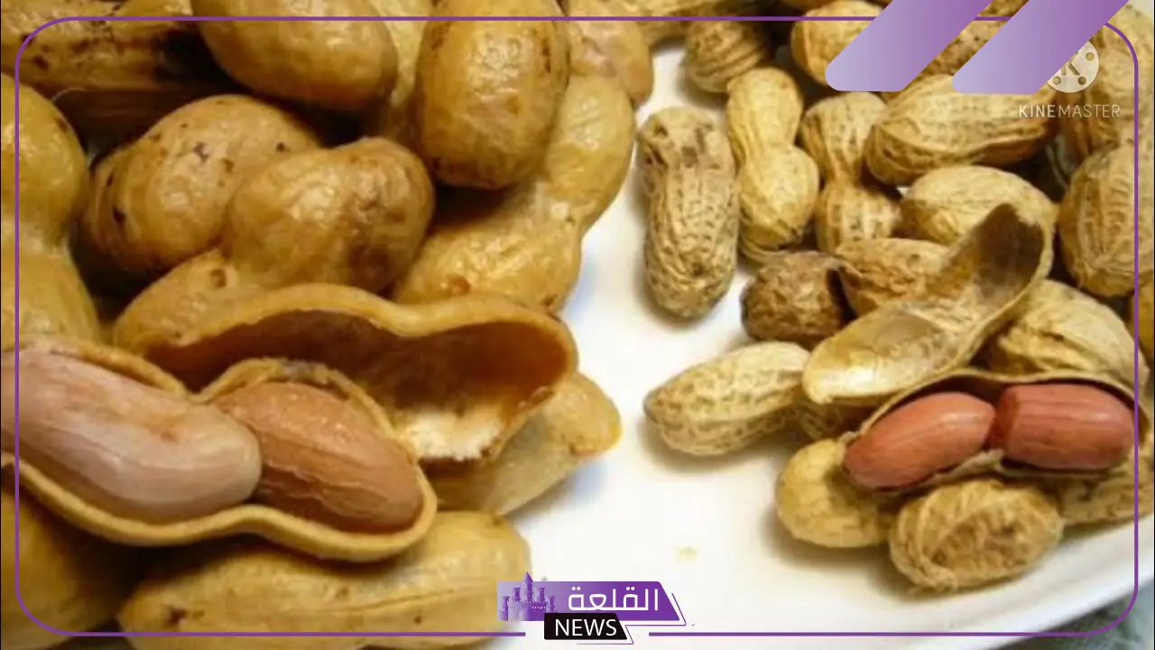 تفسير حلم الفول السوداني في المنام للرجل لابن سيرين والنابلسي