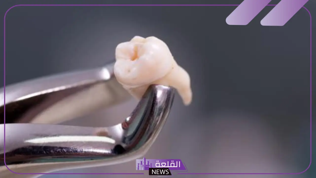 سقوط الضرس في المنام للمتزوجة والعزباء لابن سيرين بدون ألم 5 حلم سقوط الضرس في اليد بدون ألم