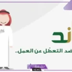 هل تبحث عن عمل؟ فتح باب التقديم على برنامج ساند في السعودية 2025