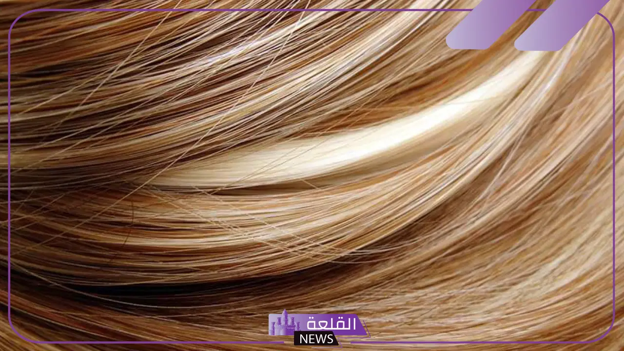 قائمة الوان صبغات الشعر بالصور والاسم والوصف 2025 5 صبغات الشعر البني ودرجاته