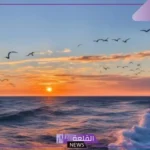 اقتباسات عن البحر جميلة وشاعرية تويتر.. أجمل عبارات عن البحر والحب
