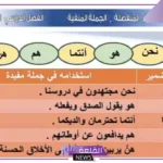 أمثلة على الجملة المنفية والجملة المثبتة