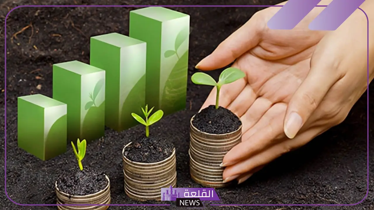 فرص التمويل المستدام في منطقة الشرق الأوسط وشمال أفريقيا 6 فرص التمويل المستدام