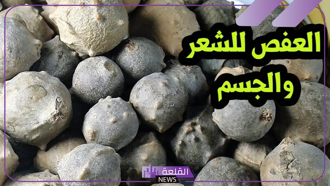 فوائد العفص للشعر جابر القحطاني كاملة وخلطة الشيب 5 أضرار وفوائد العفص للشعر جابر القحطاني